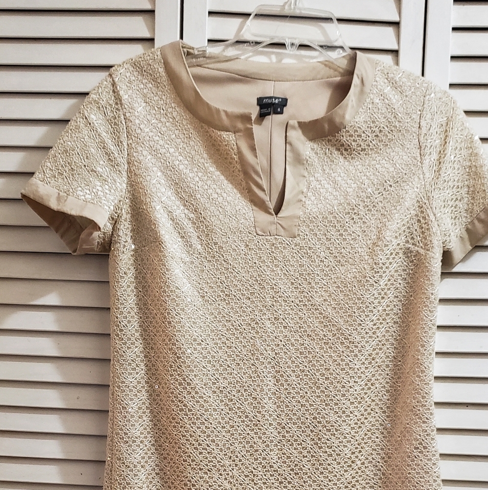 Muse fashion dress size 6.